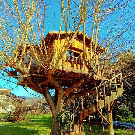 Appartement Το Πέτρινο Σπιτάκι à Tríkala Extérieur photo