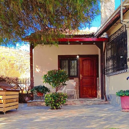 Appartement Το Πέτρινο Σπιτάκι à Tríkala Extérieur photo