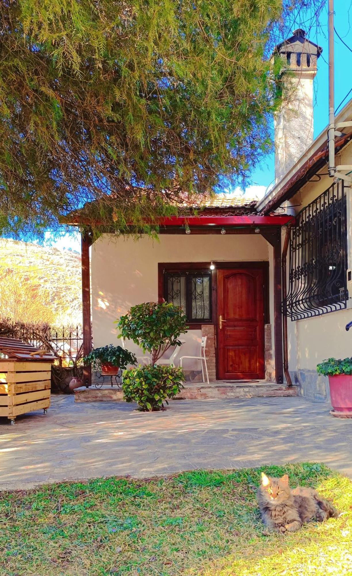 Appartement Το Πέτρινο Σπιτάκι à Tríkala Extérieur photo